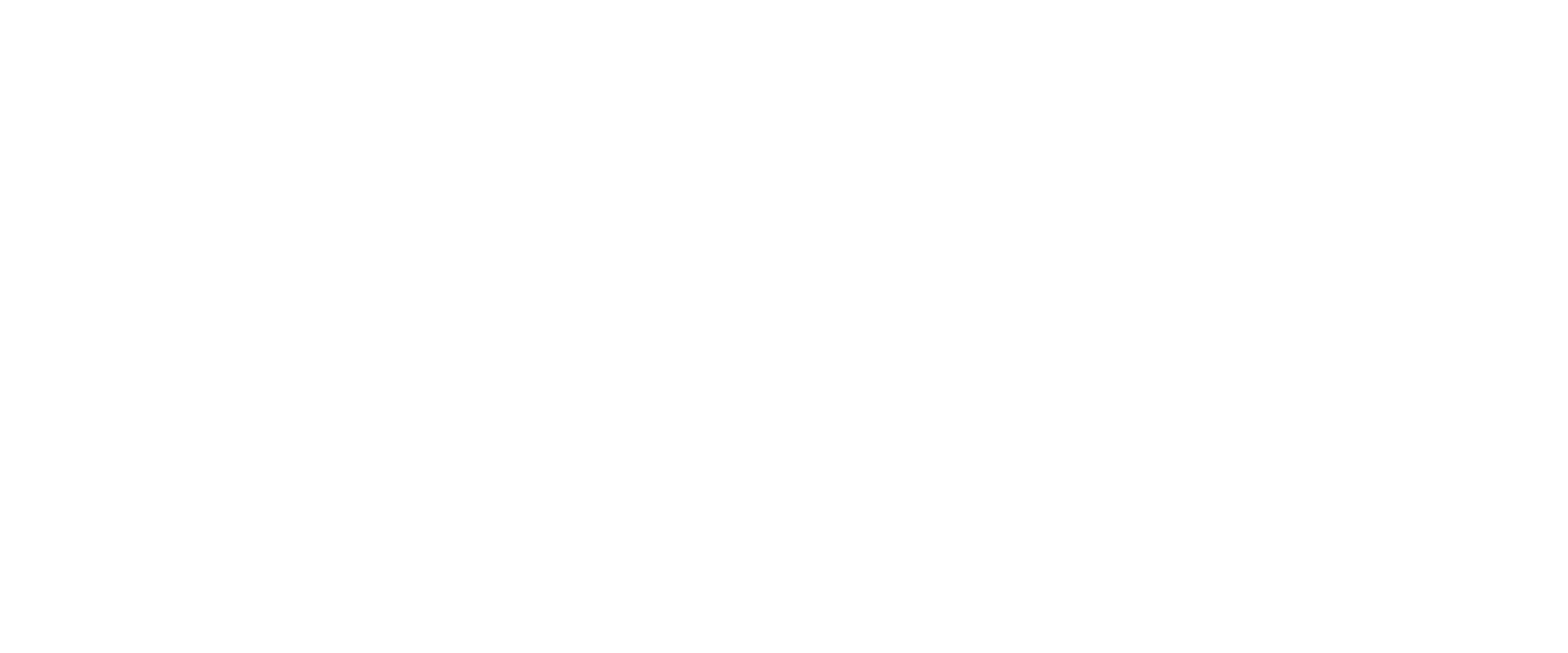 Triton Digital® Horizontal_White-1